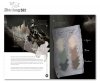 ABTEILUNG ABT715 THE SECRETS OF LEVIATHAN: SCULPTING & PAINTING TECHNIQUES (English)